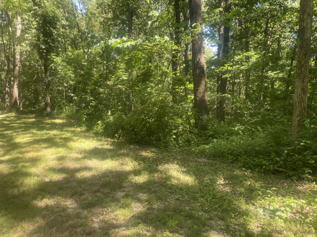 ABOUT US Atteberry Estates